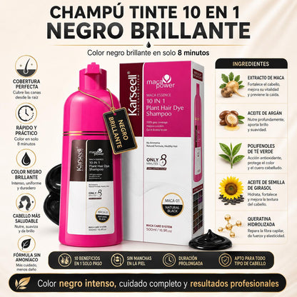 Champú Tinte Negro Natural 500ml