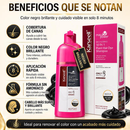 Champú Tinte Negro Natural 500ml