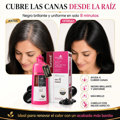 Champú Tinte Negro Natural 500ml