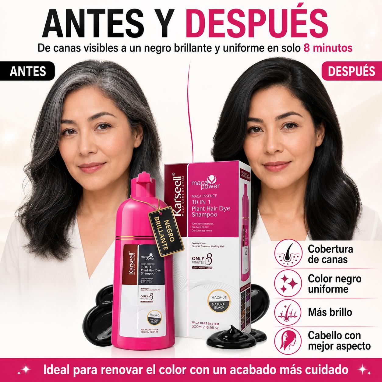 Champú Tinte Negro Natural 500ml