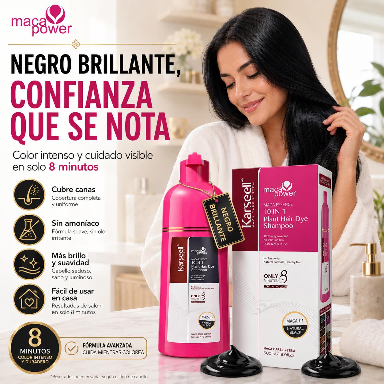 Champú Tinte Negro Natural 500ml