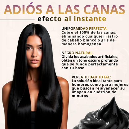 Natural Black Hair Dye Shampoo [500ml]