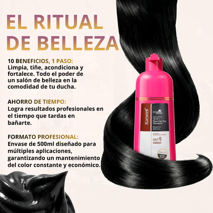 Natural Black Hair Dye Shampoo [500ml]