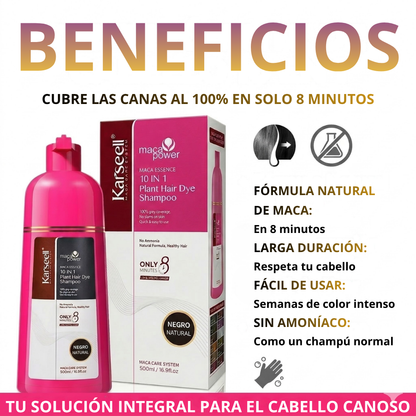 Natural Black Hair Dye Shampoo [500ml]