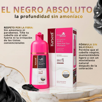 Natural Black Hair Dye Shampoo [500ml]